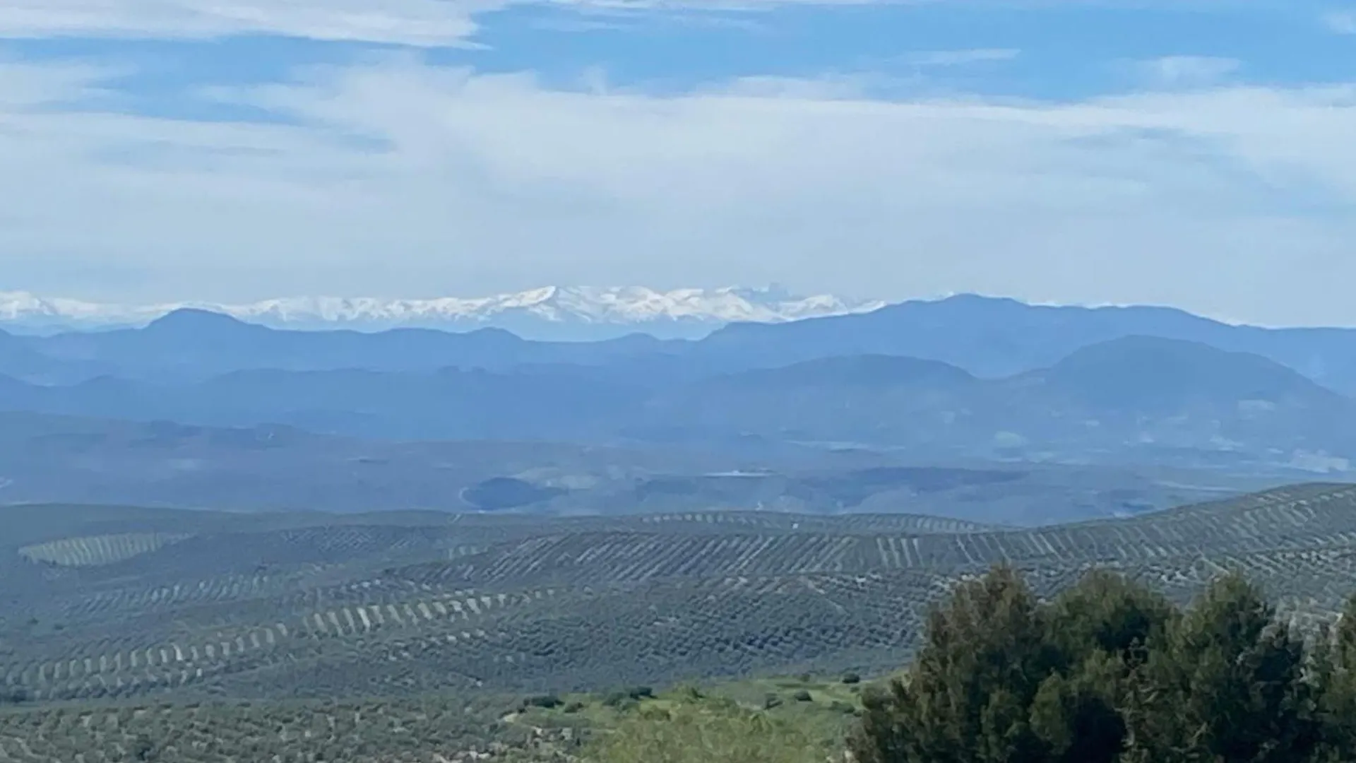 Holiday home Olive Home Torreperogil Spain