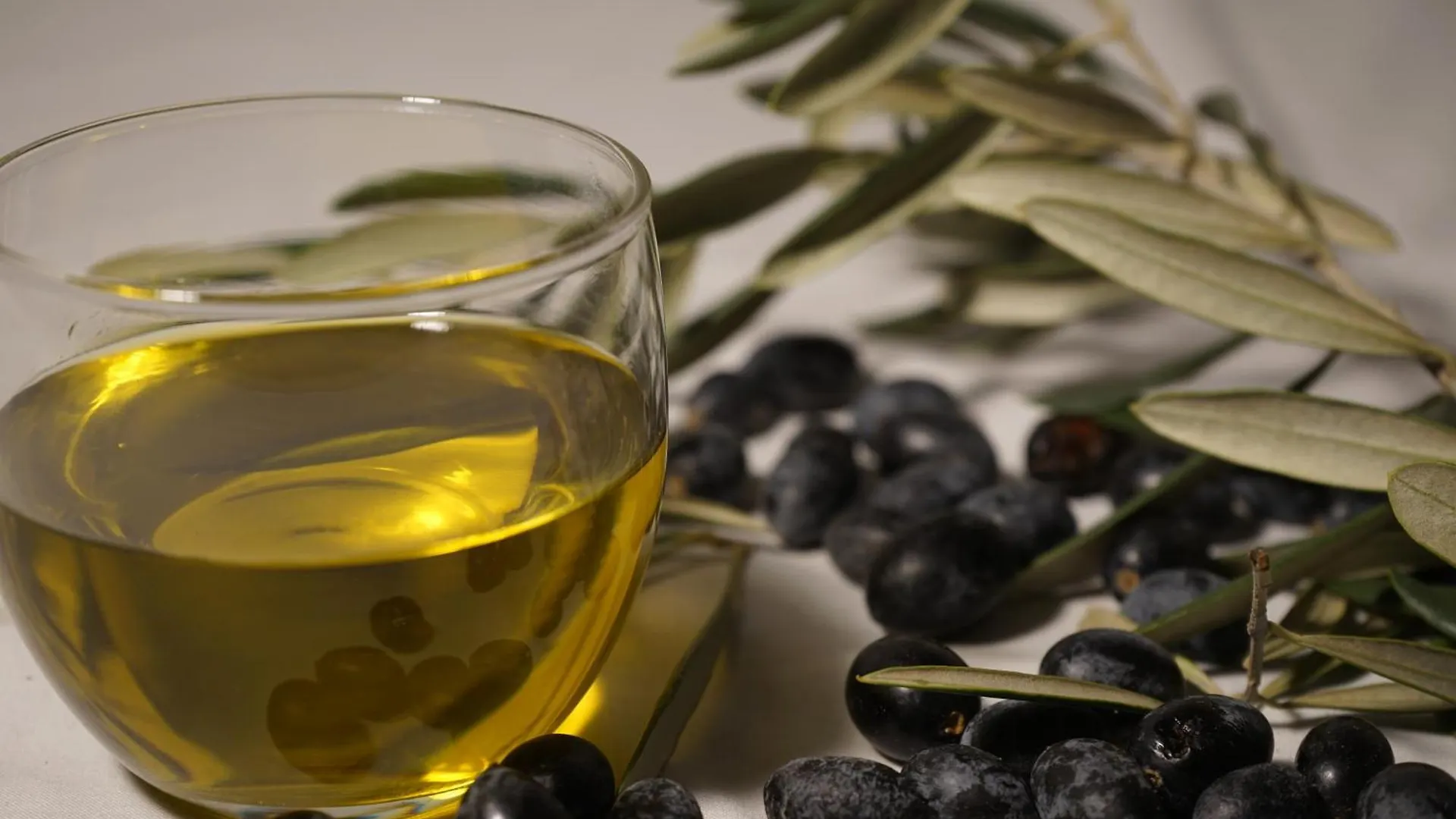Olive Home Torreperogil Spain