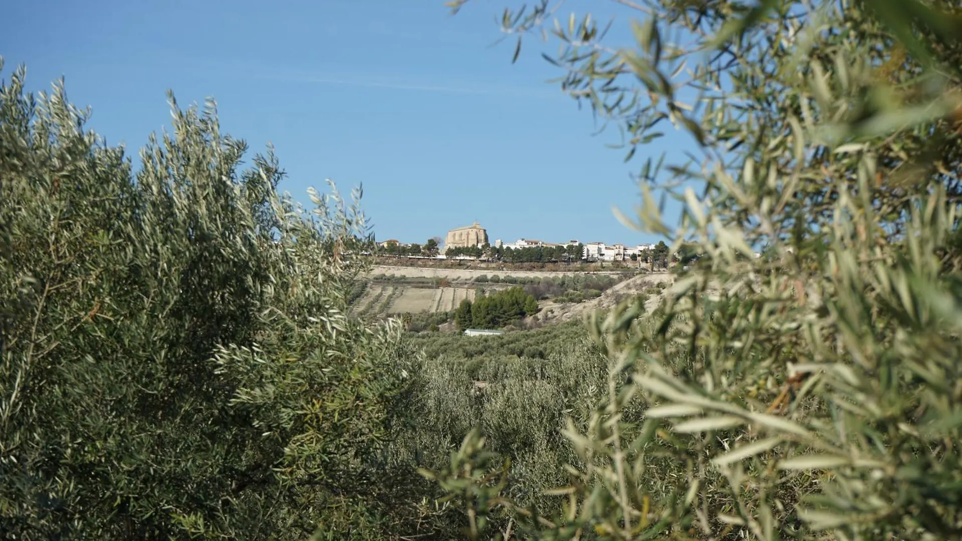 Olive Home Torreperogil 0*,  Spain