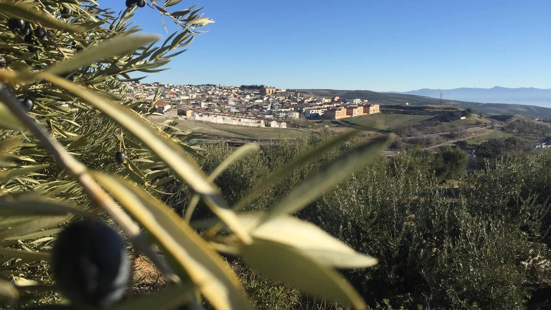 Holiday home Olive Home Torreperogil